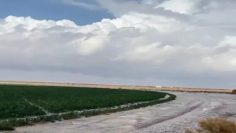 شاهد.. اكتساء حائل بالبرد الأبيض في مشهد بديع