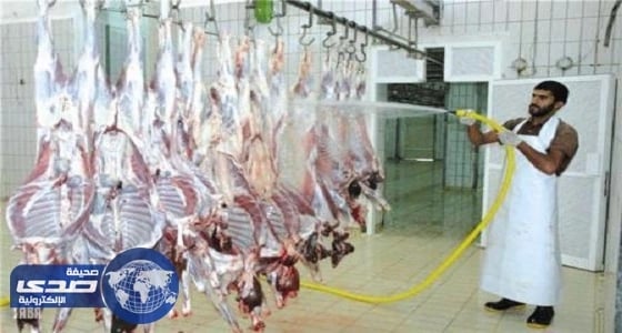 أمين الطائف: 3 آلاف رأس من الماشية يومياً لمواجهة كثافة المواسم