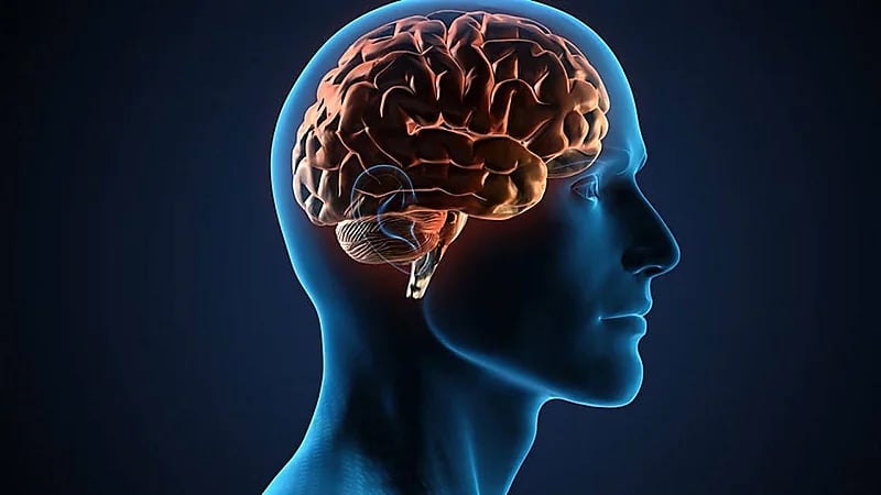 عادات وسلوكيات تضر صحة الدماغ