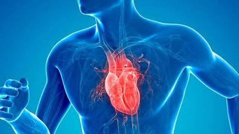 النمر : قوة القلب وقت الراحة بين 55% و70% طبيعية