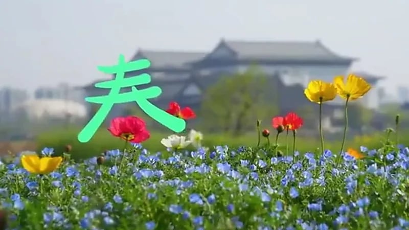 سفارة المملكة في الصين تحتفي باليوم العالمي للغة الصينية.. فيديو