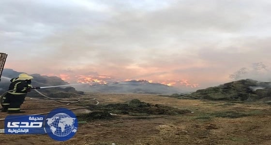 بالصور.. «مدني الجموم» ينقذ 1500 رأس من الغنم في حريق حوش أعلاف