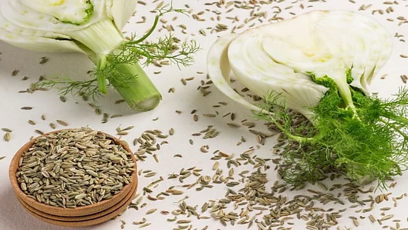 "الشمر" يعالج الإمساك ويسهل عملية الولادة