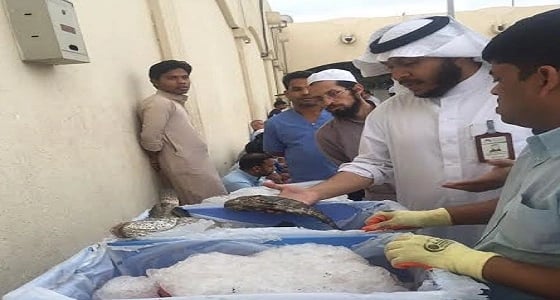 بالصور .. جولة سوق السمك تصادر نصف طن من الاسماك بمكة