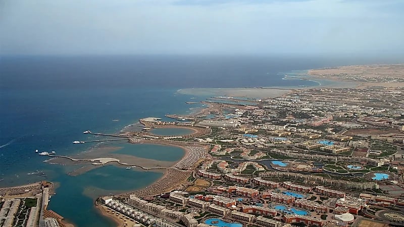 أول إجراء مصري بعد مهاجمة سمكة قرش لسائحة