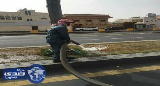 أهالي أحد رفيدة: استخدام الصهاريج الكبيرة في ري الأشجار يعرضنا للخطر