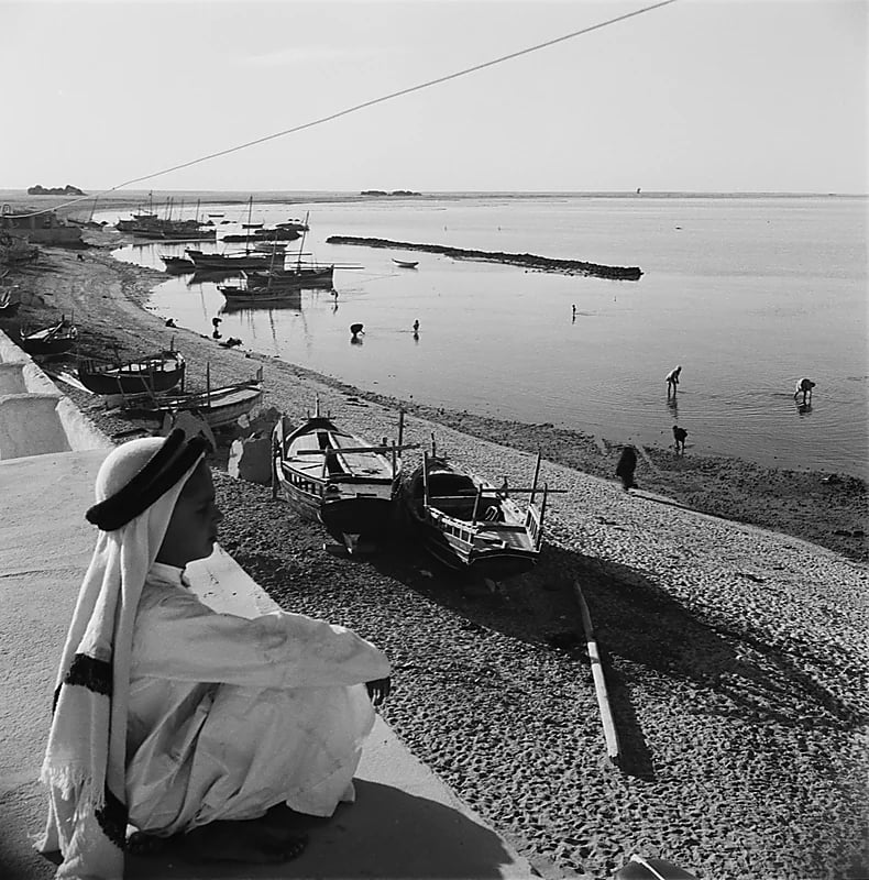 صورة رائعة لولد يراقب رجال يحصدون المحار في الجبيل