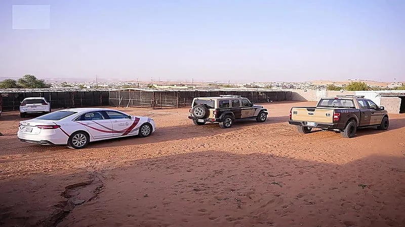 ضبط 4 مخالفين لاقتنائهم وعرضهم كائنات فطرية بالرياض.. فيديو وصور