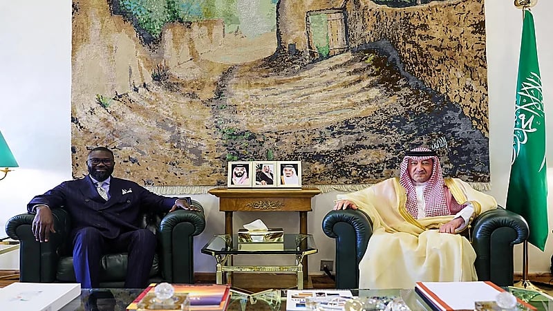 نائب وزير الخارجية يستقبل رئيس البعثة الإقليمية للجنة الدولية للصليب الأحمر