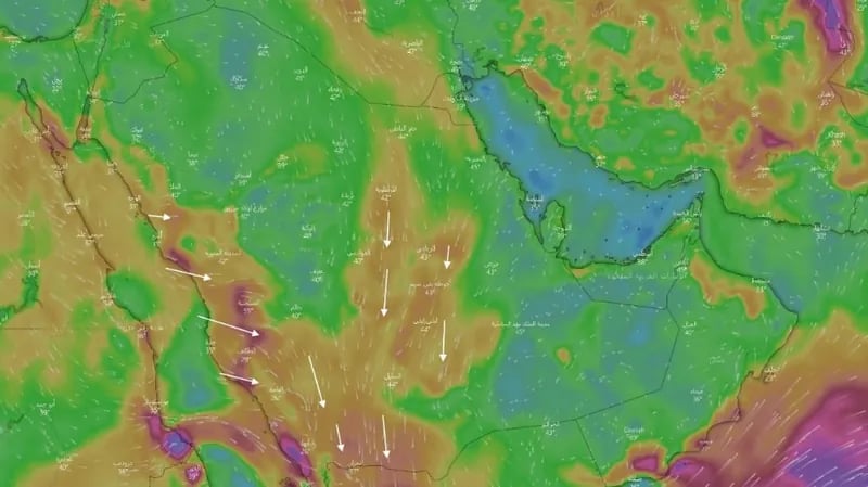 "المسند": اليوم دخول طالع الهنعة أشد أيام الحر في السنة