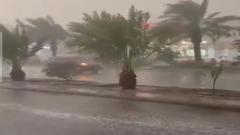 شاهد.. لحظة هطول أمطار رعدية غزيرة على المدينة المنورة 