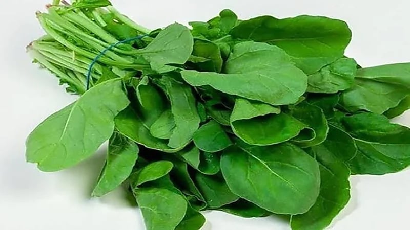 الكشف عن فوائد صحية مذهلة للجرجير