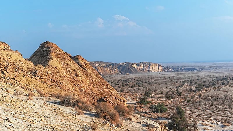 ضبط مخالفة رعي بمحمية الإمام عبدالعزيز بن محمد الملكية