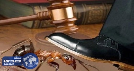 الإعلامية السودانية جدية عثمان سفيرة للسلام