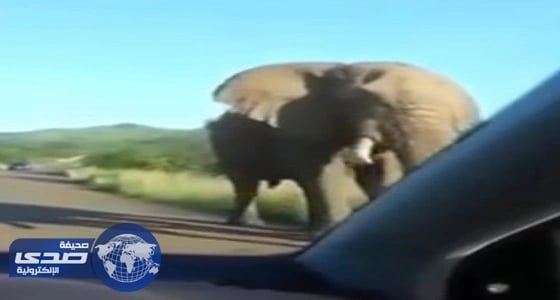 طفلة بالمنطقة الشرقية تتحدى الإعاقة وتستخدم أنفها في الكتابة