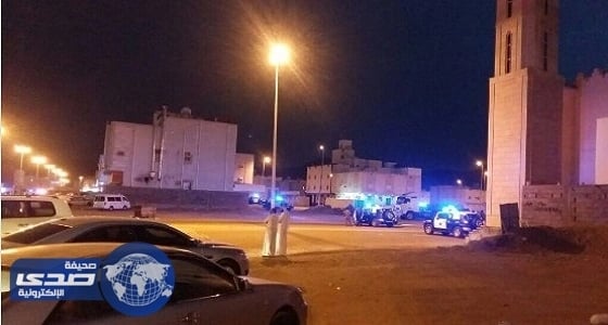 بالفيديو.. اصطدام سيارتين بسبب غزالة على إحدى الطرق السريعة