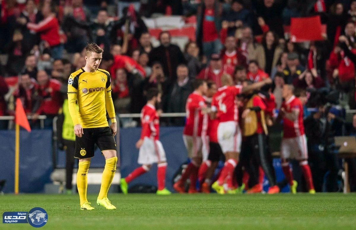 بالفيديو.. دورتموند يسقط بهدف أمام بنفيكا بأبطال اوروبا