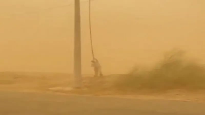 منسوبو "الكهرباء" يؤدون عملهم بأحد المواقع في جازان رغم العواصف الرملية "فيديو"