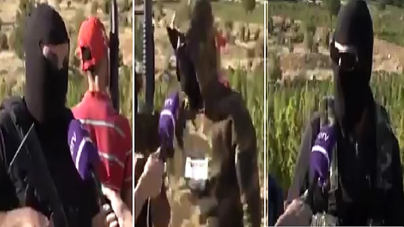 مروجو مخدرات يطالبون حكومة لبنان بفتح المعابر: الحشيش مكدس ويكفى لـ 100 سنة