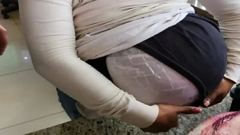 شاهد.. كلب يكشف سيدة تهرب المخدرات مدعيه الحمل