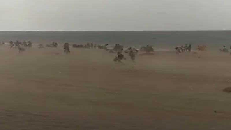 شاهد.. عاصفة رملية تضرب شواطئ زموري ببومرداس في الجزائر 