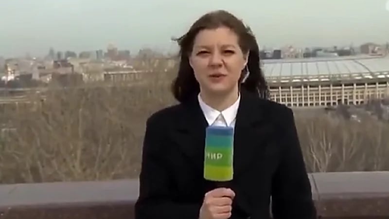 بالفيديو .. كلب يسرق ميكروفون من يد مراسلة تلفزيونية