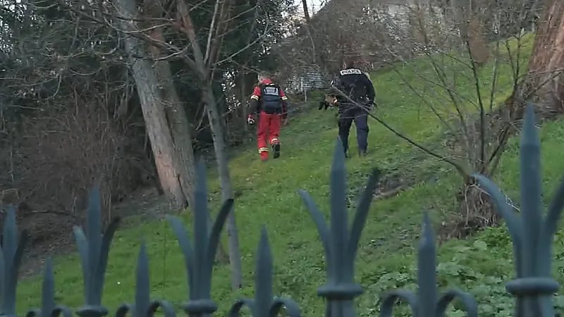 العثور على رأس امرأة مقطوعا في حديقة عامة (فيديو)