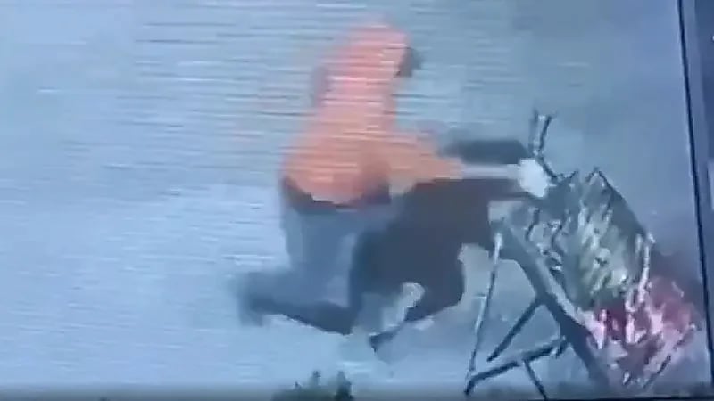 شاهد.. سرقة سمكة أثناء شوائها بالشارع تثير السخرية