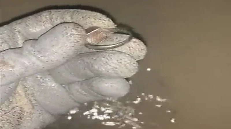 شخص يوثق لحظة عثوره على خاتم في البحر داخله سحر!.. فيديو
