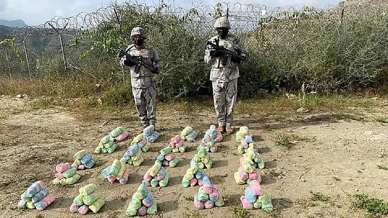 إحباط  تهريب 100 كجم من القات بجازان