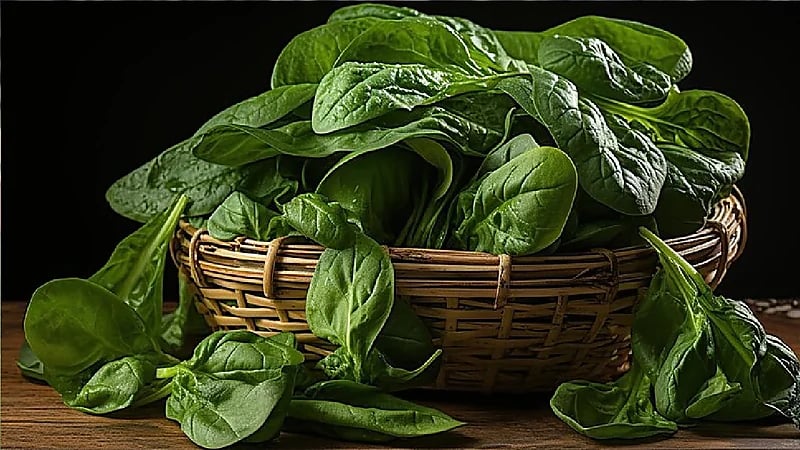 5 أطعمة لرفع مستويات الحديد لدى المرأة