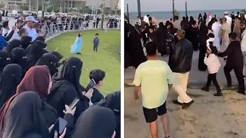 زحام شديد على كورنيش الخبر لمشاهدة صداقة البطة والقط .. فيديو