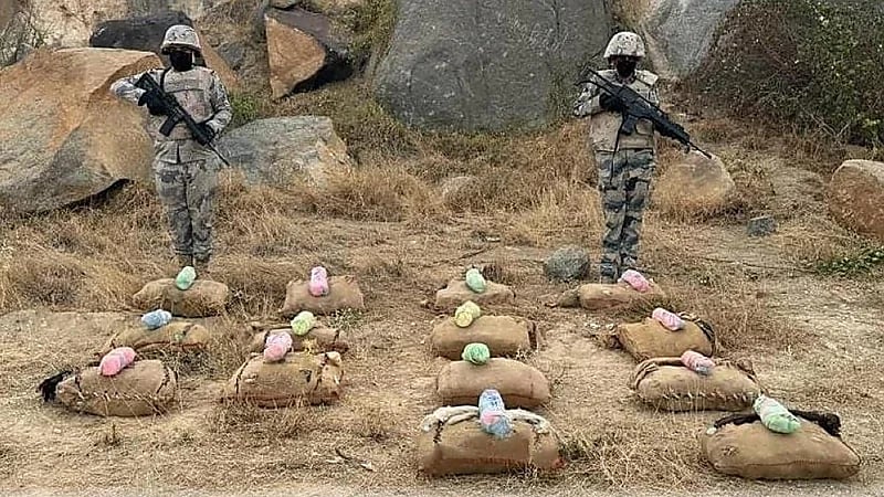 إحباط تهريب 60 كيلوجرامًا من نبات القات المخدر بجازان