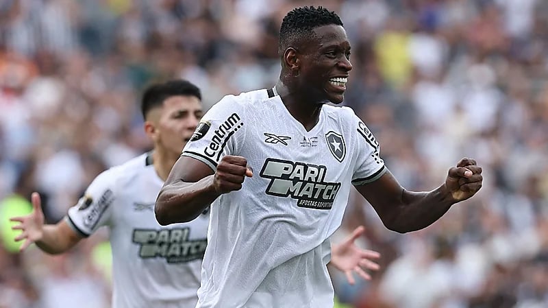 بوتافوغو بطلا لكأس كوبا ليبرتادوريس 2024