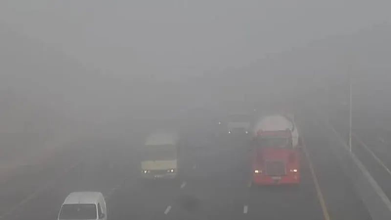 ‎مصرية تضع طفليها التوأم على الطريق بسبب الضباب