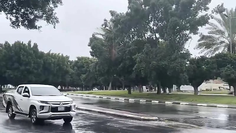 الفازنلي: الحرارة  لم تصل لذروتها  ومازالت توجد ملامح الشتاء ..فيديو