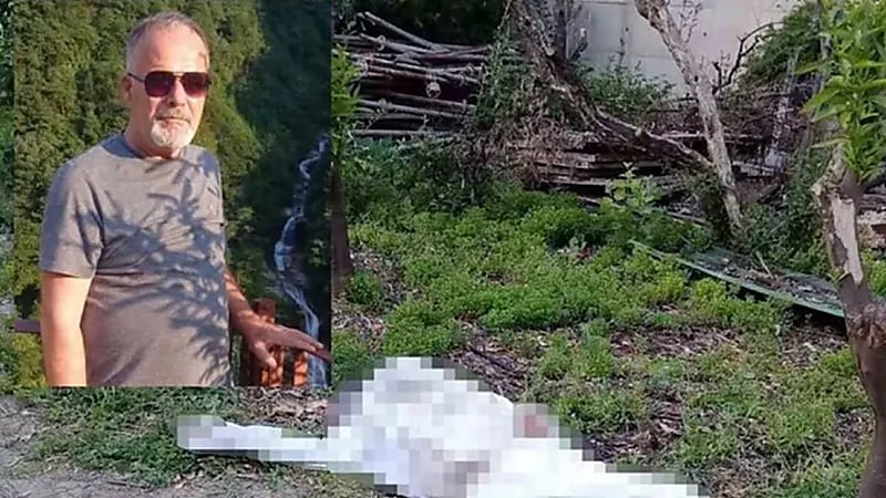 مصرع مربي نحل تركي بطريقة مروعة