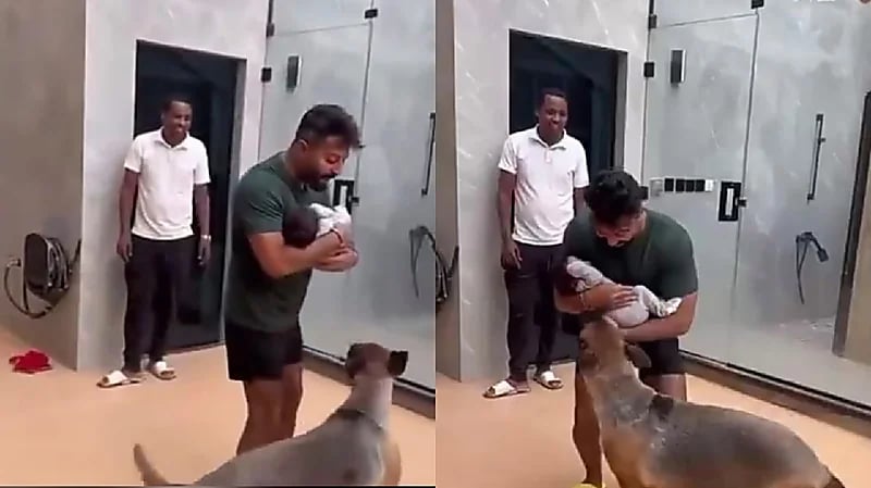 يعقوب بوشهري: أربي كلابي مع ابني ليعتادوا عليه ويحموه .. فيديو