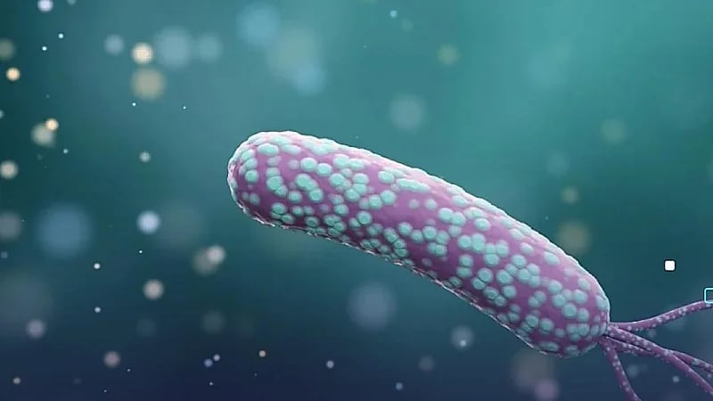 جرثومة المعدة قد تسبب 12 مليون حالة إصابة بسرطان المعدة في المستقبل