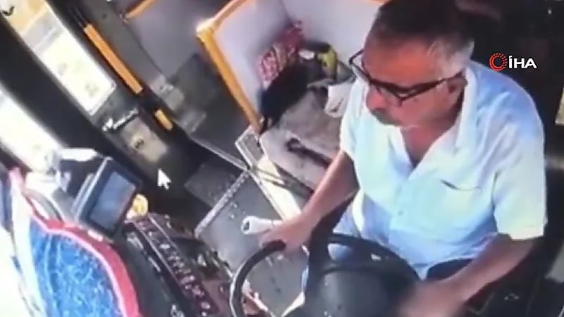 راكب ينقذ حافلة من كارثة بعد وفاة سائقها المفاجئة ..فيديو