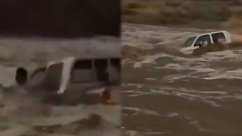 مشهد يحبس الأنفاس لشاب  يجازف بعبور سيول القنفذة.. فيديو