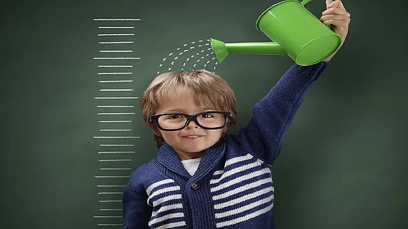 WhatsApp Image 2025-09-06 at 6.46.45 PM.jpeg