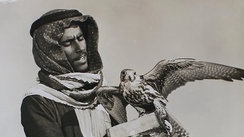 WhatsApp Image 2025-09-07 at 8.50.41 PM (1).jpeg