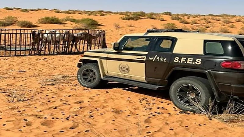 ضبط مخالفين لنظام البيئة