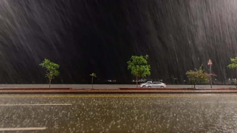 أمطار متفرقة وعواصف رعدية تضرب منطقة الباحة