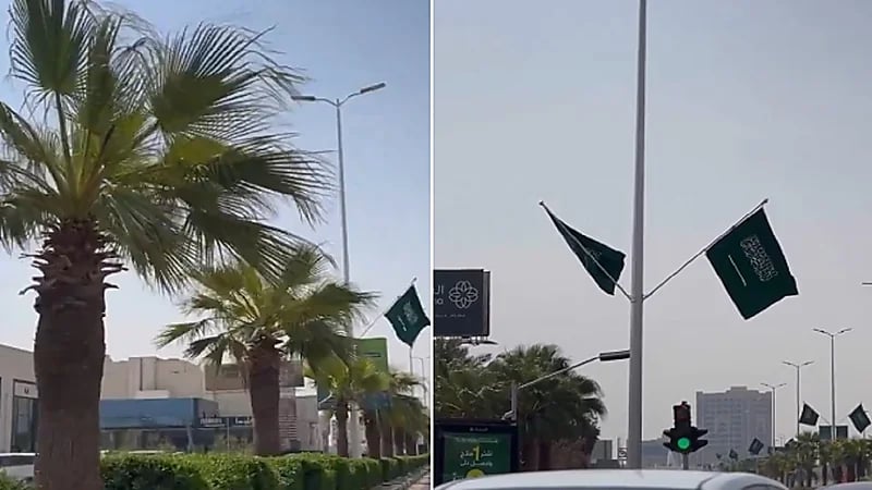 شوارع الأحساء تتزين بالأعلام الخضراء احتفاءً باليوم الوطني الـ95 .. فيديو