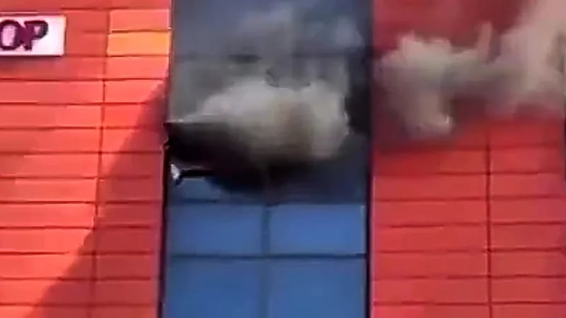 WhatsApp Image 2025-09-22 at 3.04.40 AM.jpeg