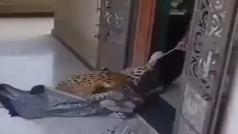 WhatsApp Image 2025-09-30 at 7.20.01 PM.jpeg