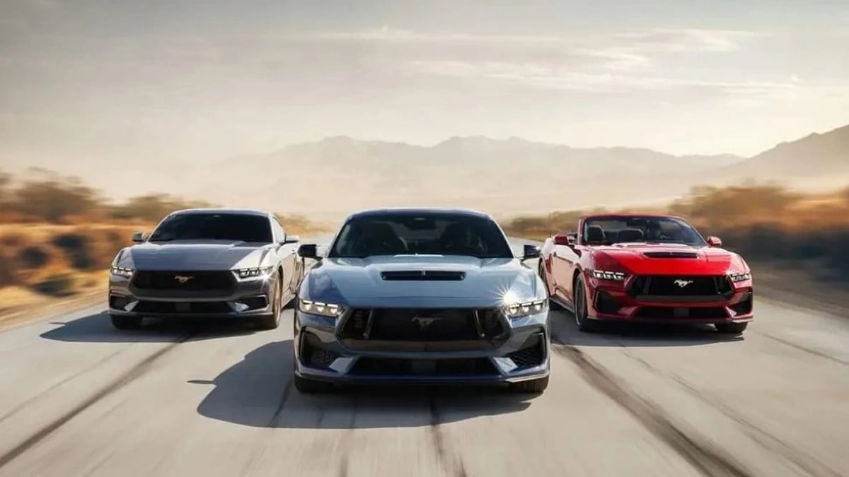 WhatsApp Image 2025-10-25 at 5.50.22 PM.jpeg