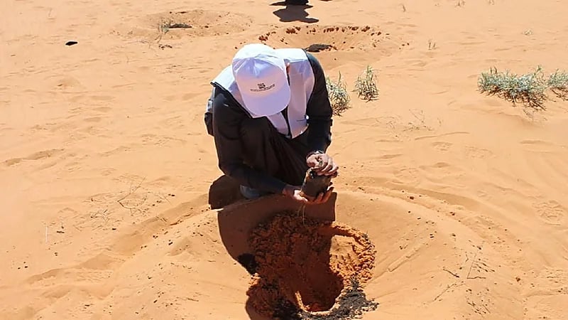 هيئة تطوير محمية الملك سلمان تزرع 400 ألف شتلة بحائل